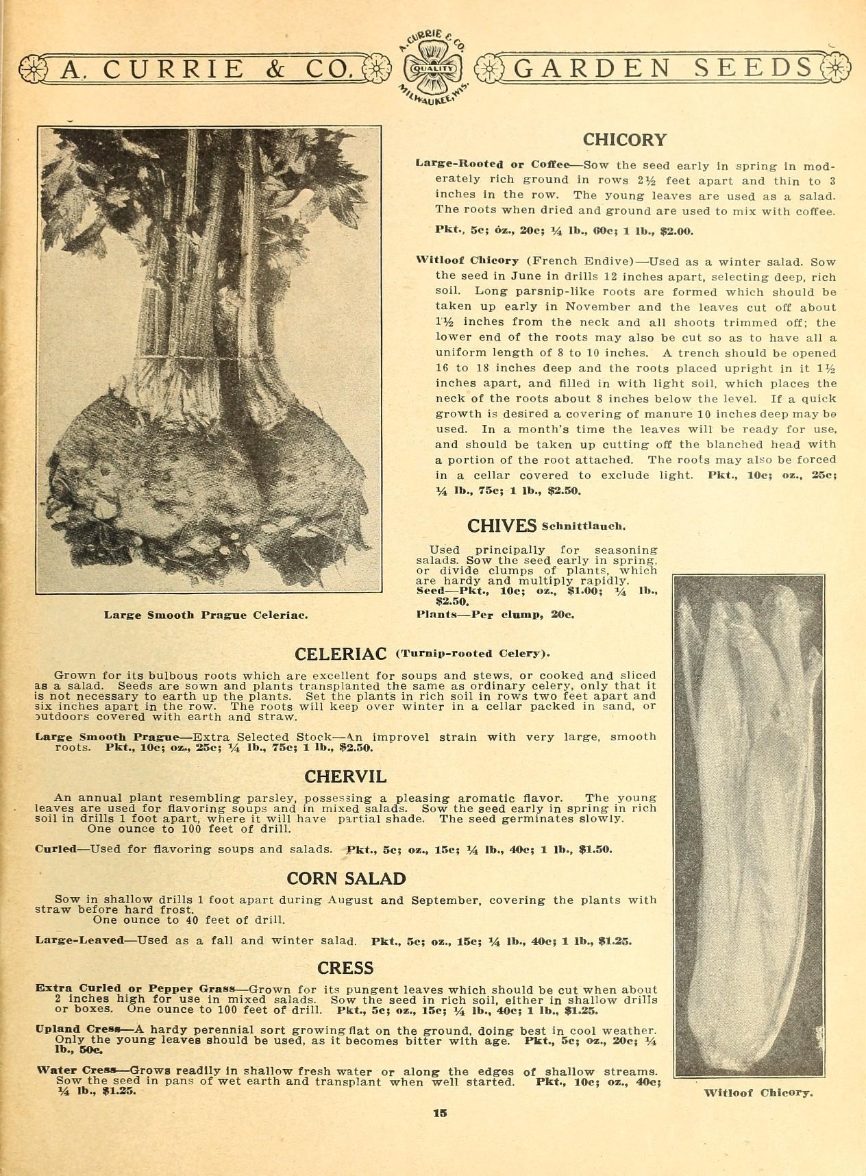 Puerto Rican coffee farm showing mixed planting of resistant and heritage varieties