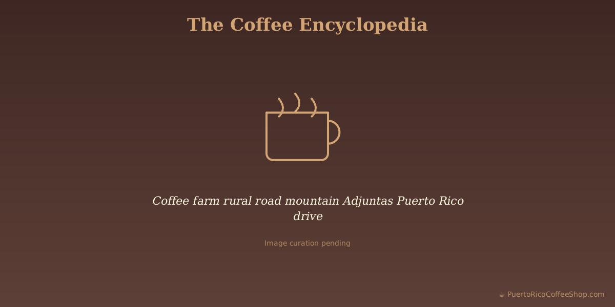 Coffee farm rural road mountain Adjuntas Puerto Rico drive