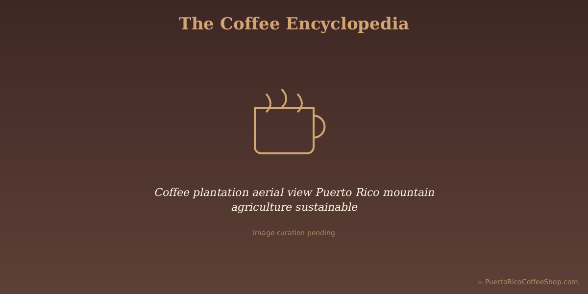 Coffee plantation aerial view Puerto Rico mountain agriculture sustainable