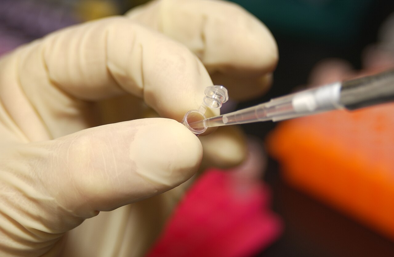 DNA testing laboratory analyzing coffee variety genetic purity