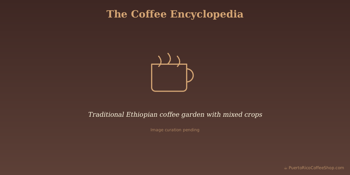 Traditional Ethiopian coffee garden with mixed crops