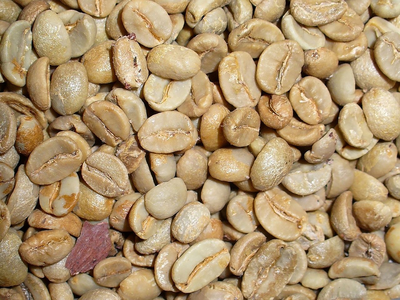 Coffea arabica beans green unroasted
