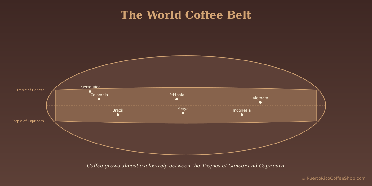 Map Puerto Rico coffee growing regions municipalities cordillera central