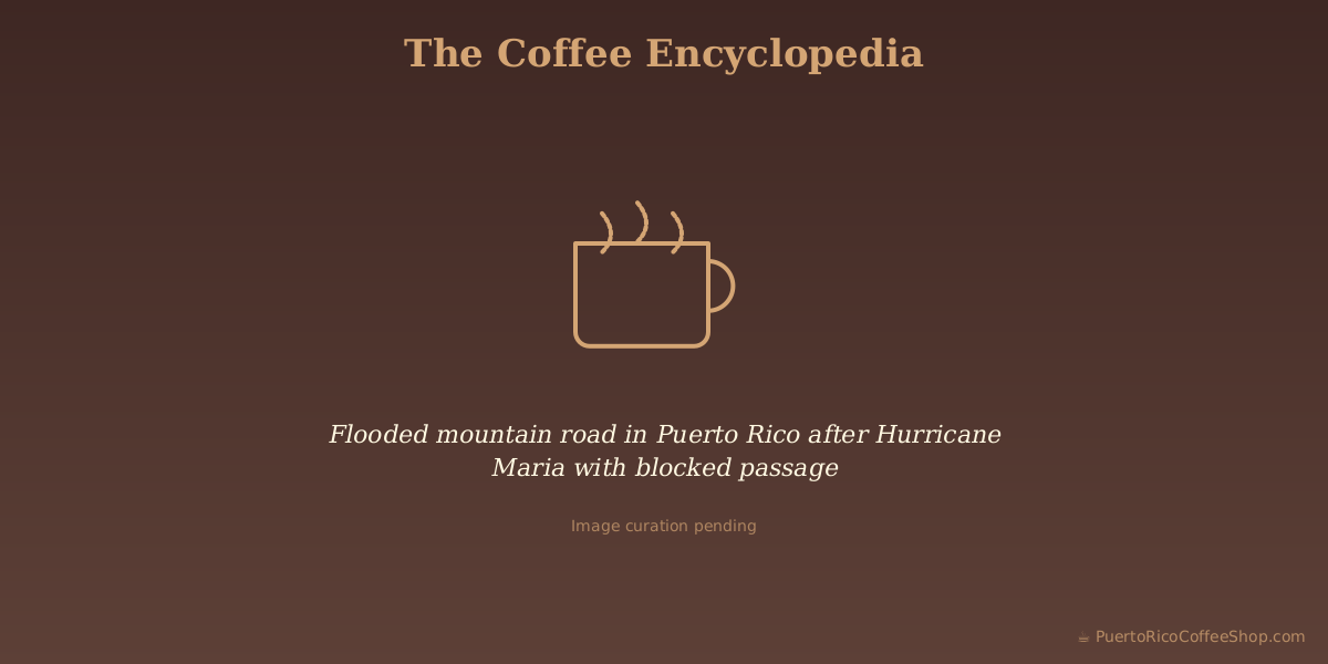 Flooded mountain road in Puerto Rico after Hurricane Maria with blocked passage