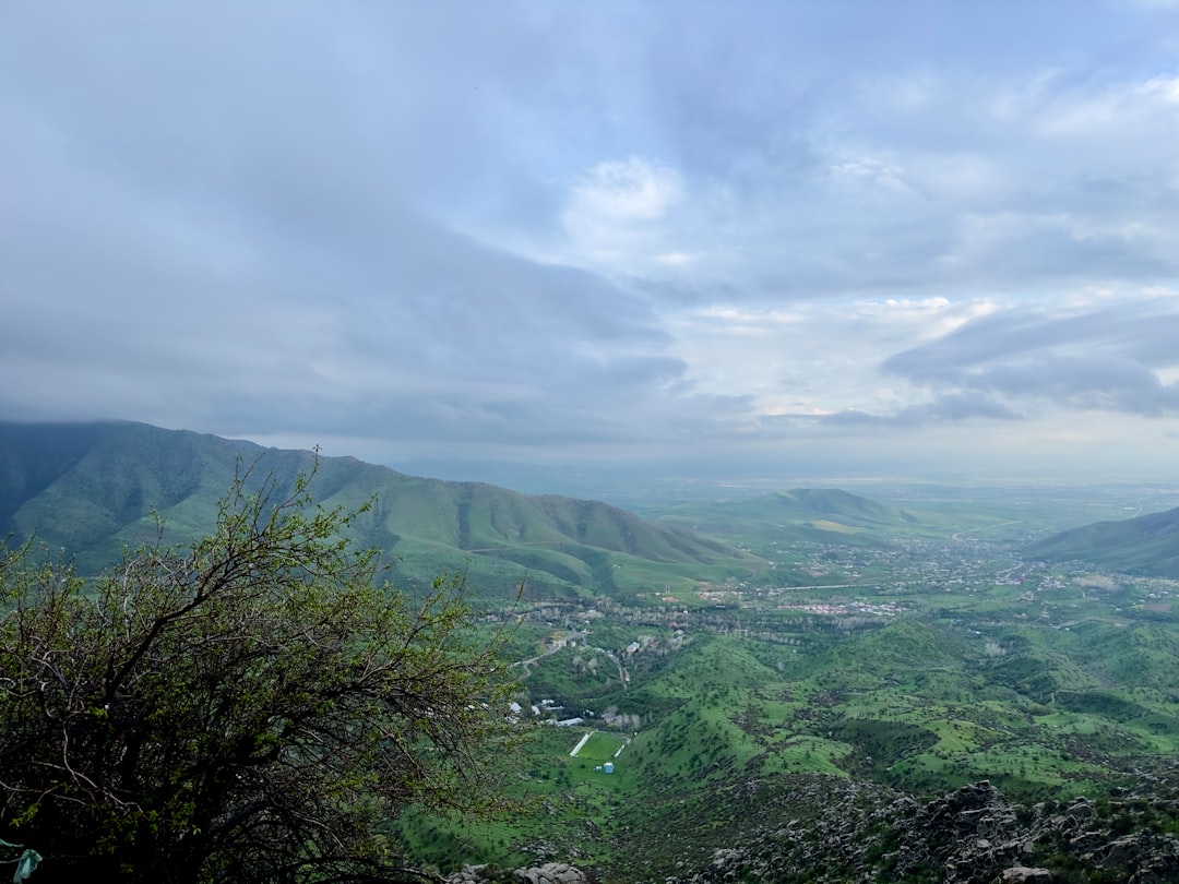 panoramic view of Puerto Rico central mountain range coffee farms at sunrise, fog over green slopes, traditional red-roofed hacienda buildings in distance
