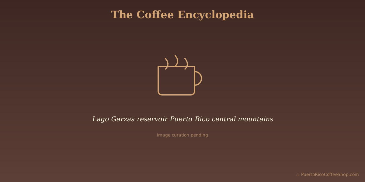 Lago Garzas reservoir Puerto Rico central mountains