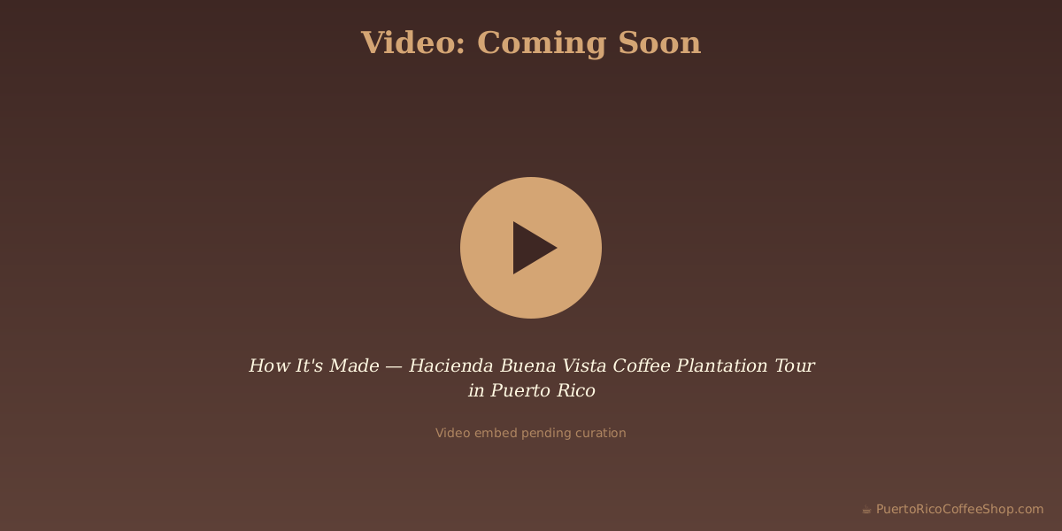 How It's Made — Hacienda Buena Vista Coffee Plantation Tour in Puerto Rico