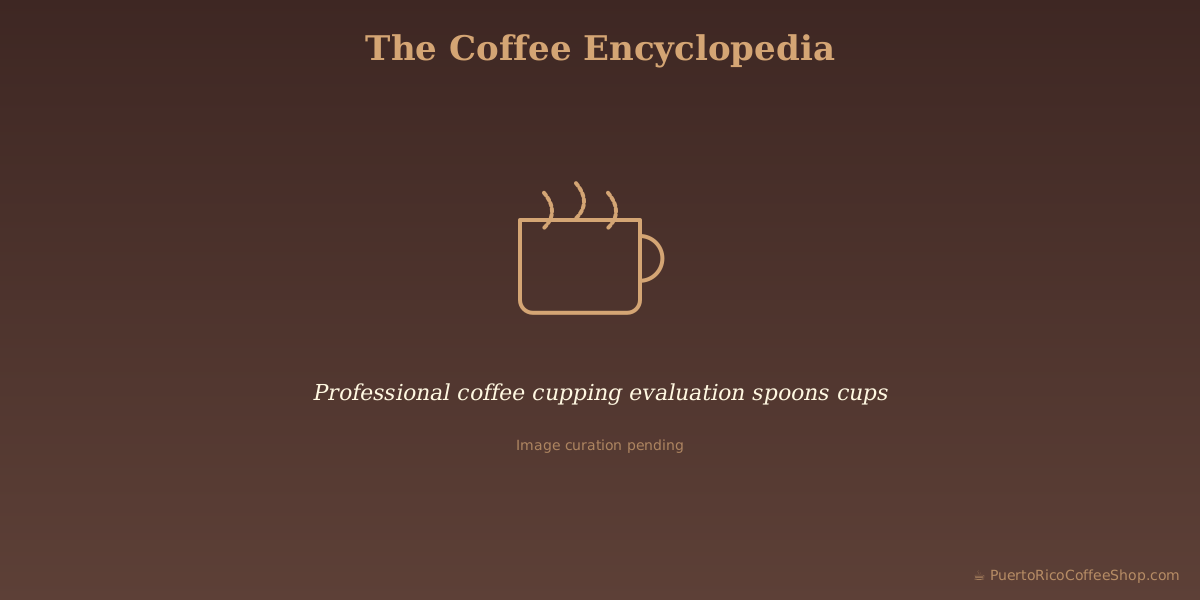 Professional coffee cupping evaluation spoons cups