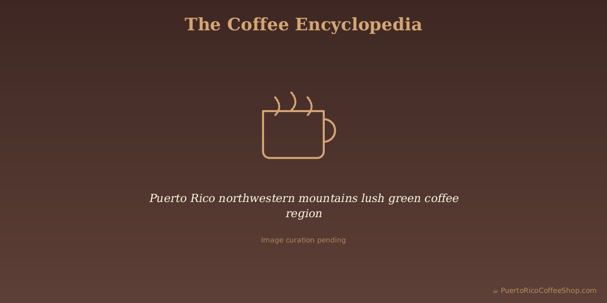 Puerto Rico northwestern mountains lush green coffee region