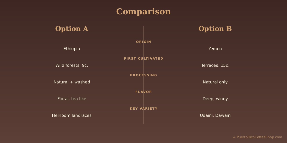 Coffee variety comparison trial at Hacienda Caracolillo showing different cultivars side by side