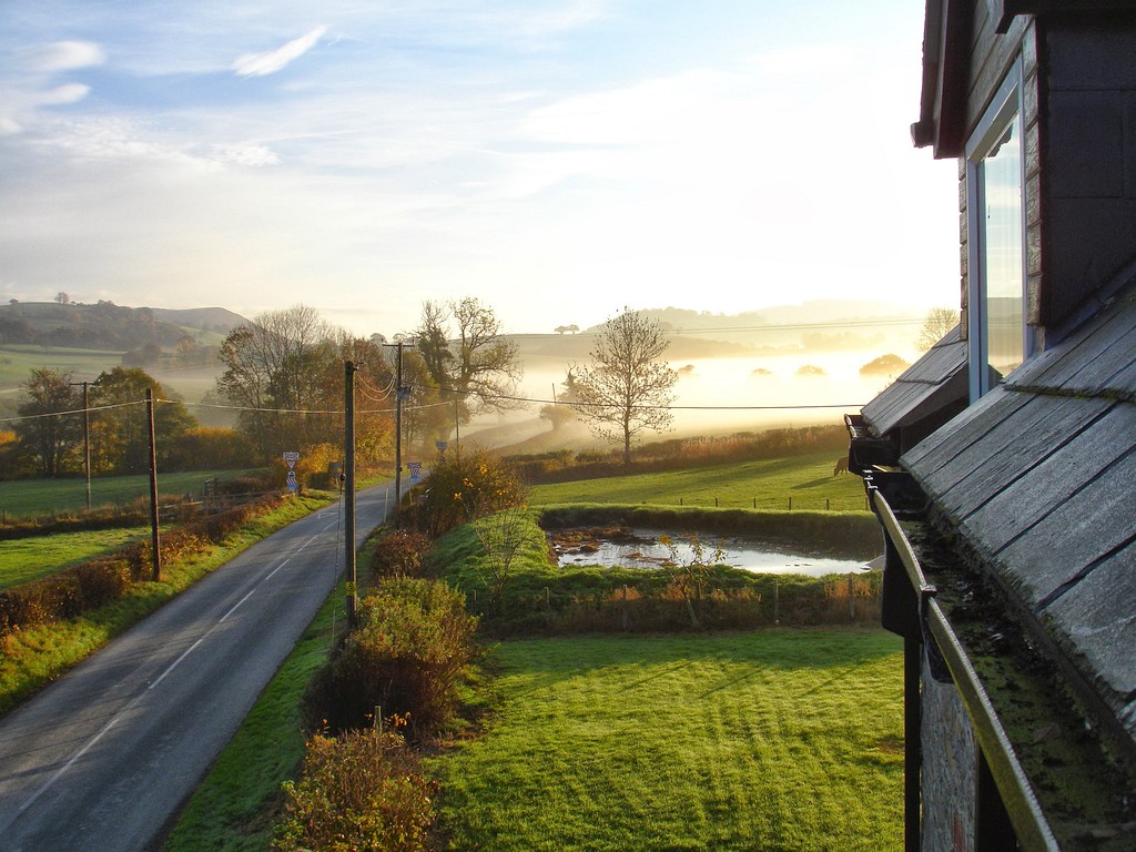Misty morning view across a shade-grown Puerto Rican coffee farm with layered tree canopy (Wikimedia: A misty morning view across the former slurry pit, November 2007 - geograph.org., CC BY-SA 2.0)