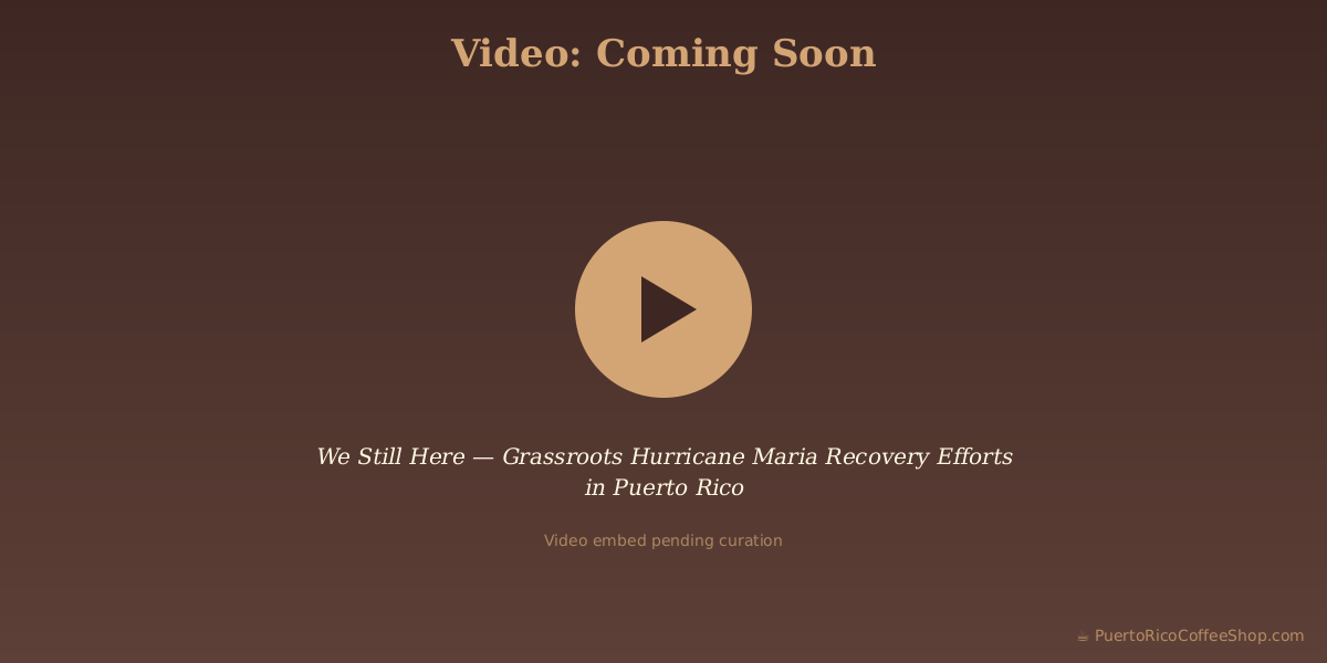 We Still Here — Grassroots Hurricane Maria Recovery Efforts in Puerto Rico