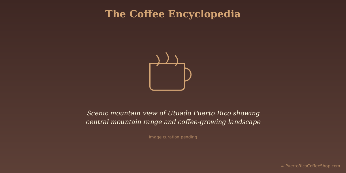 Scenic mountain view of Utuado Puerto Rico showing central mountain range and coffee-growing landscape