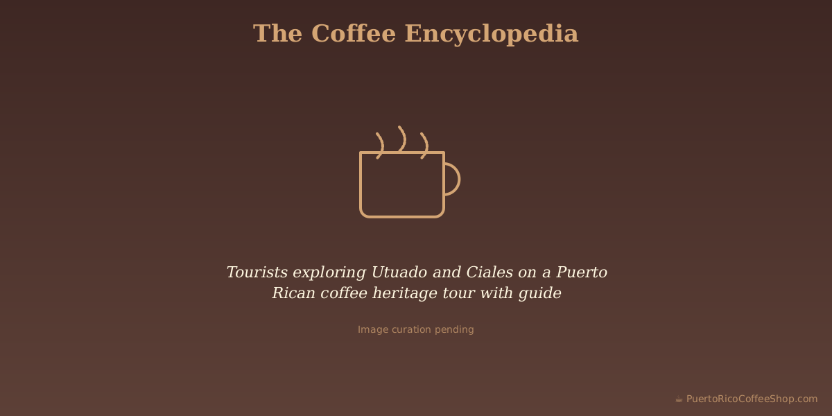 Tourists exploring Utuado and Ciales on a Puerto Rican coffee heritage tour with guide
