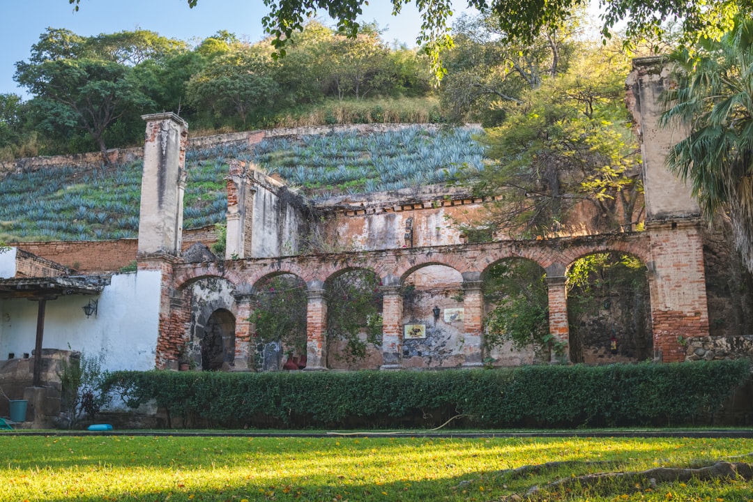 Edwin Soto Hacienda Lealtad restoration millionaire Puerto Rico coffee heritage project