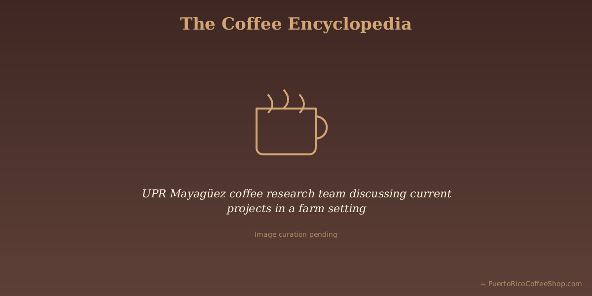 UPR Mayagüez coffee research team discussing current projects in a farm setting