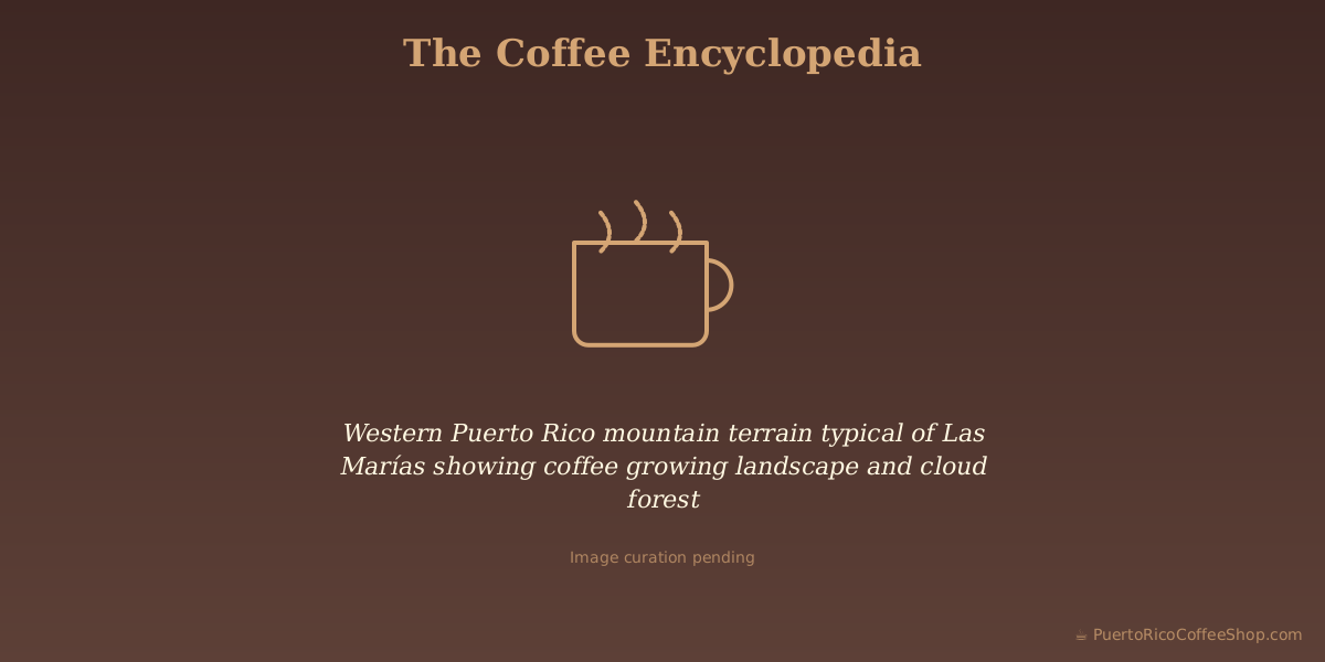Western Puerto Rico mountain terrain typical of Las Marías showing coffee growing landscape and cloud forest