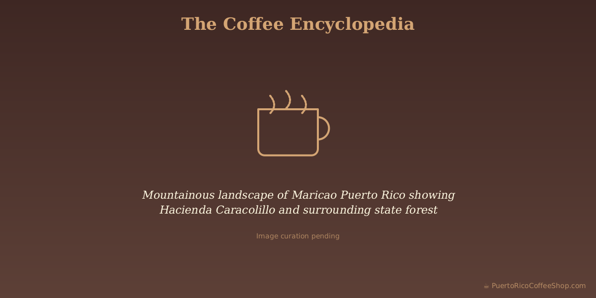 Mountainous landscape of Maricao Puerto Rico showing Hacienda Caracolillo and surrounding state forest