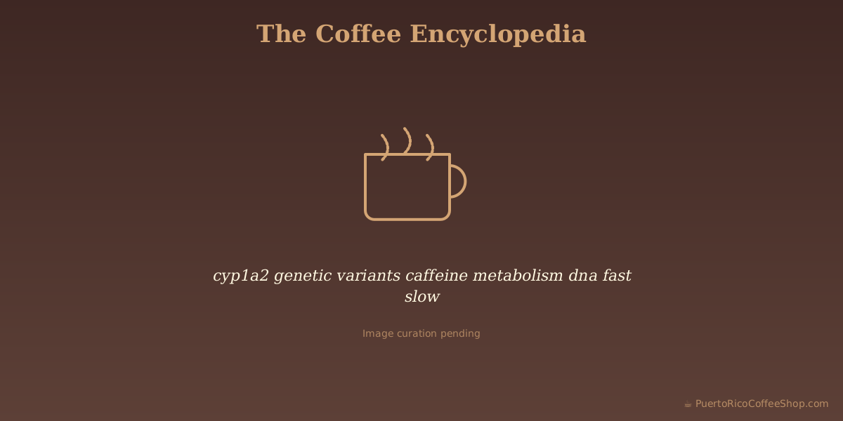 cyp1a2 genetic variants caffeine metabolism dna fast slow