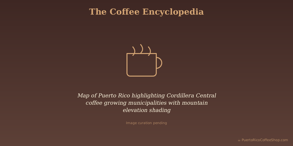 Map of Puerto Rico highlighting Cordillera Central coffee growing municipalities with mountain elevation shading