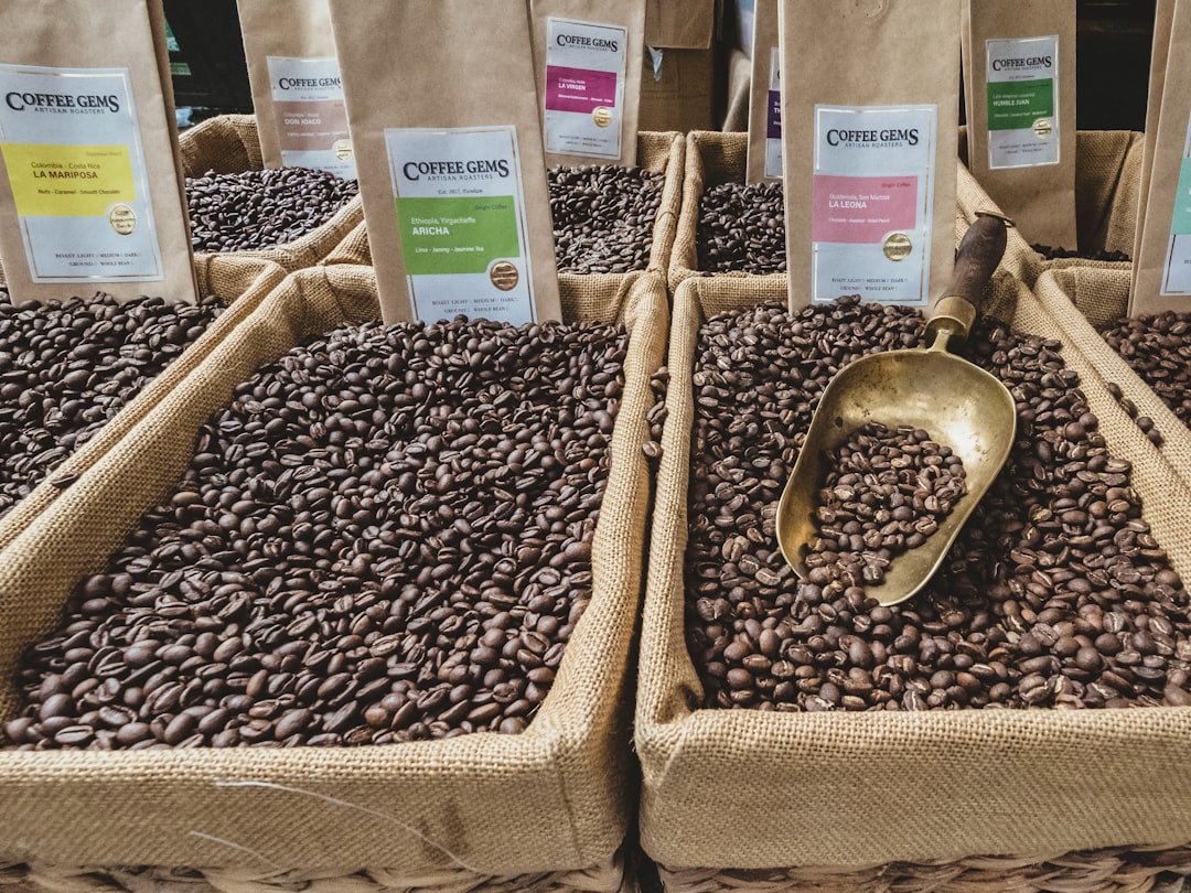 Corsican Puerto Rico coffee hacienda 19th century founding Yauco establishment