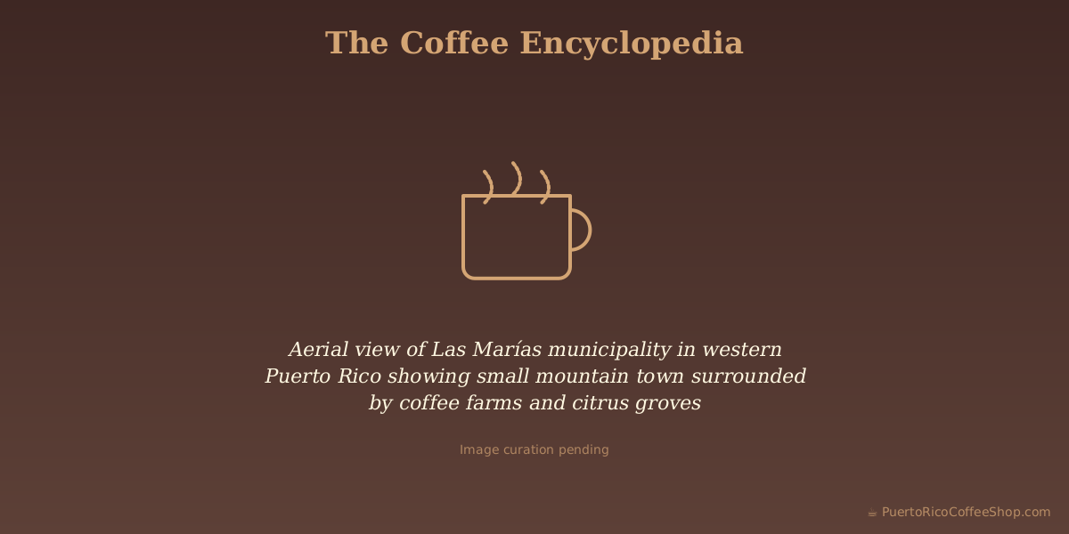 Aerial view of Las Marías municipality in western Puerto Rico showing small mountain town surrounded by coffee farms and citrus groves