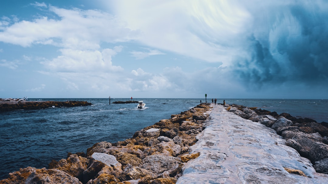 Puerto Rico Hurricane Maria coffee farmer recovery damage