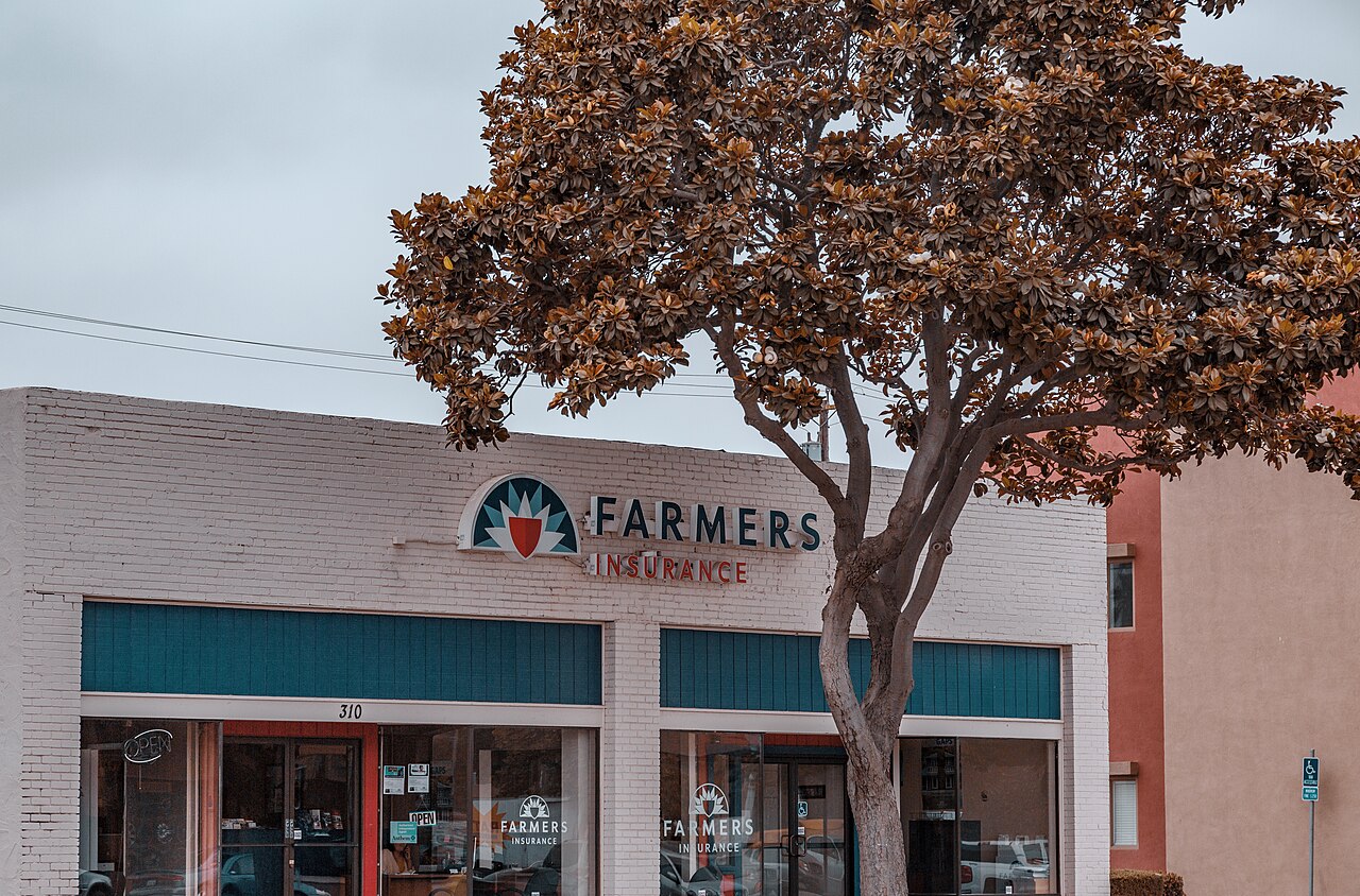 Nursery workers preparing thousands of young coffee seedlings for distribution to farmers post-Maria (Wikimedia: Farmers Insurance Office - Santa Maria, California (31787111317).jpg, CC BY 2.0)