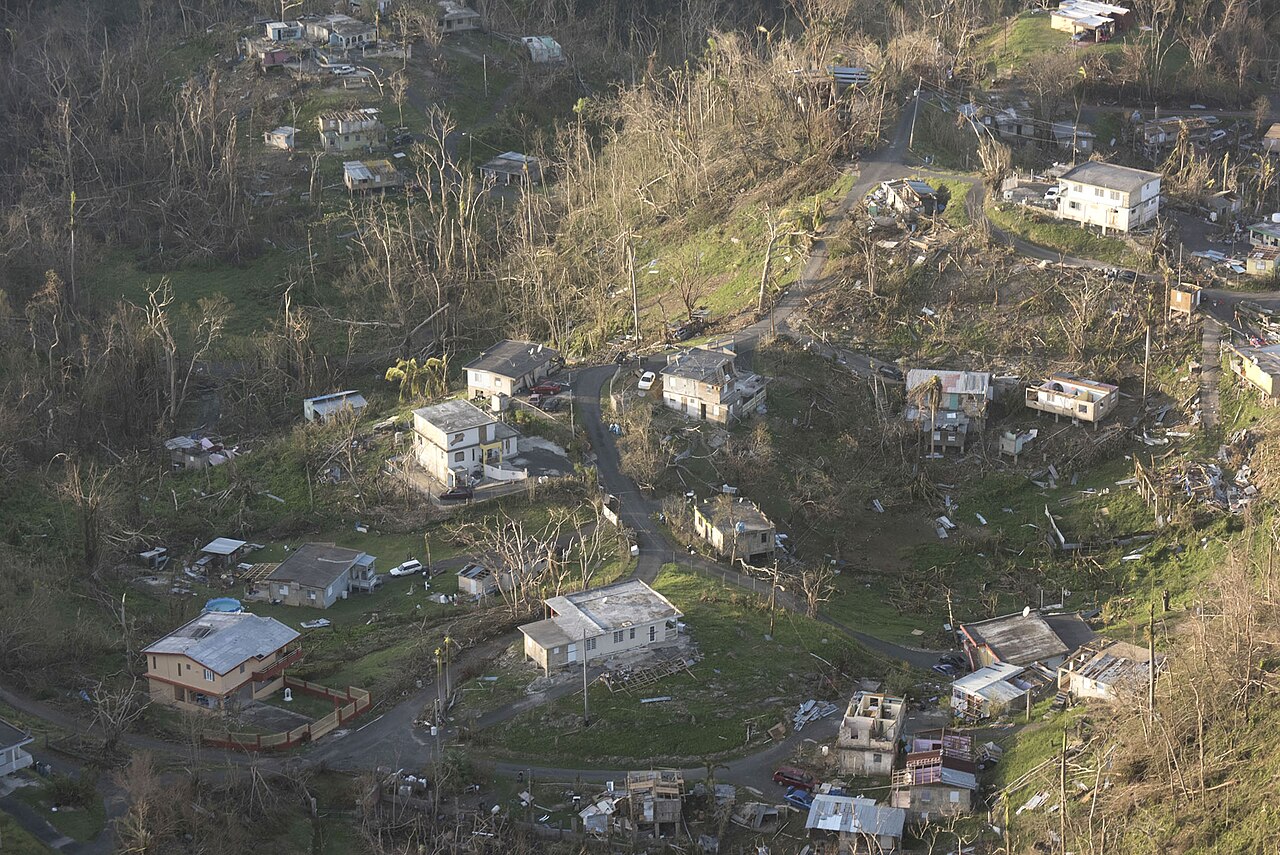 Aerial view of devastated Puerto Rican coffee landscape immediately after Hurricane Maria 2017 (Wikimedia: Aerial survey of damage (37322169956).jpg, Public domain)