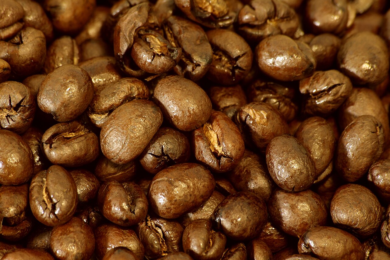 Coffee peaberry caracolillo round single bean sorted separate selection