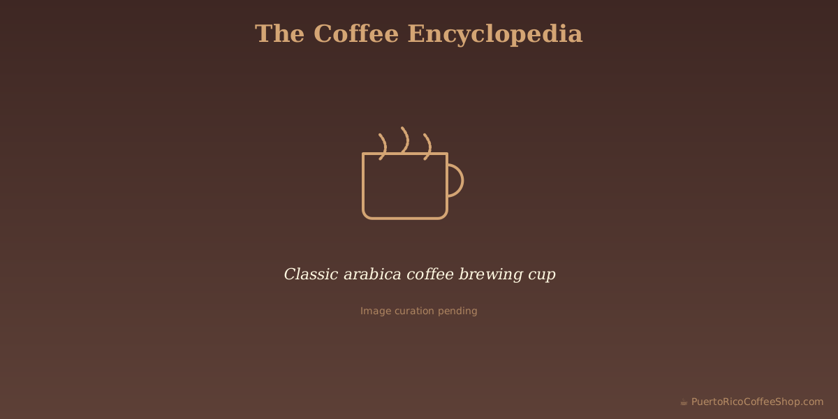 Classic arabica coffee brewing cup