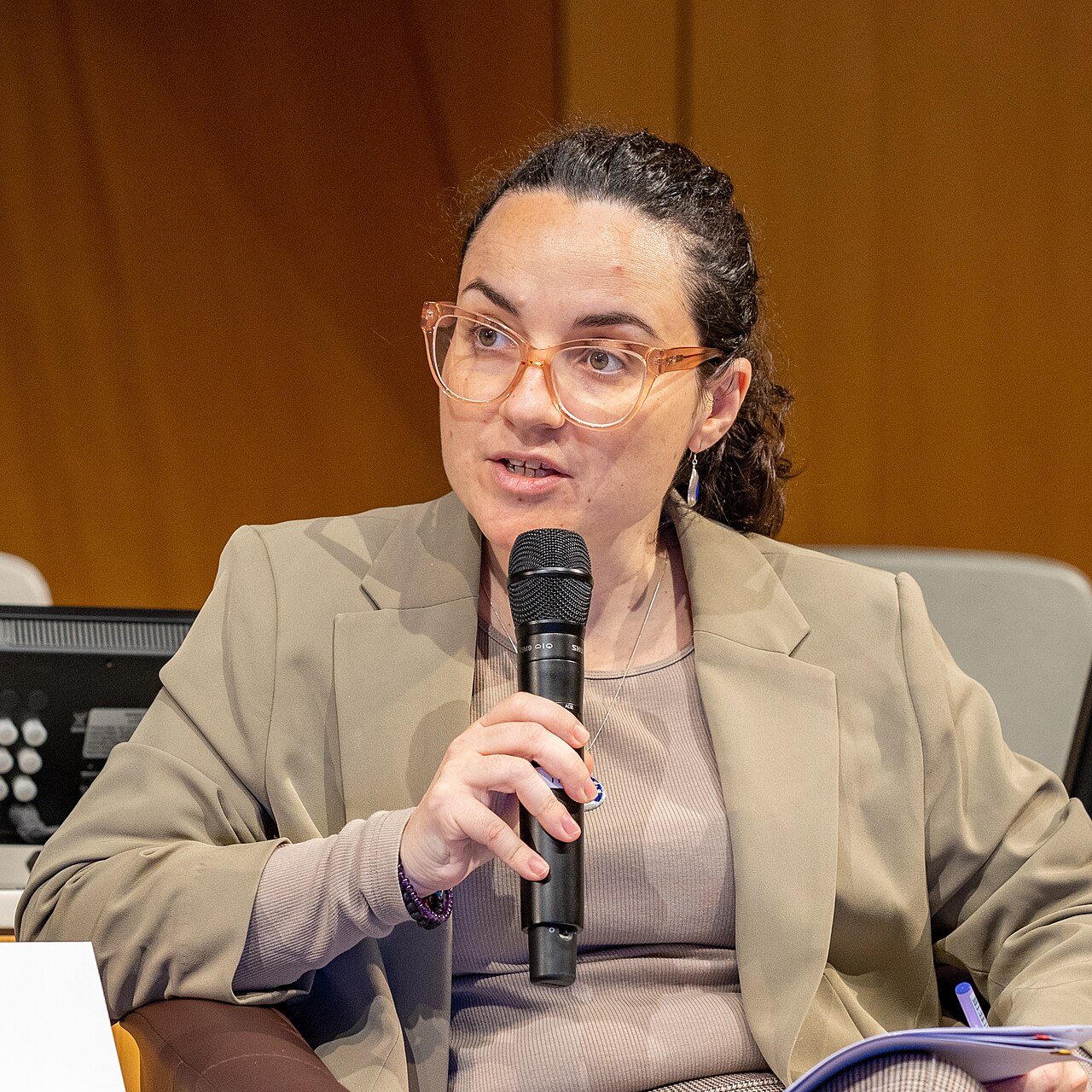 Government agricultural representative distributing cost-share program checks to Puerto Rican farmers (Wikimedia: Sofía Boza, Ambassador and Permanent Representative of Chile cropped.jpg, CC BY 2.0)
