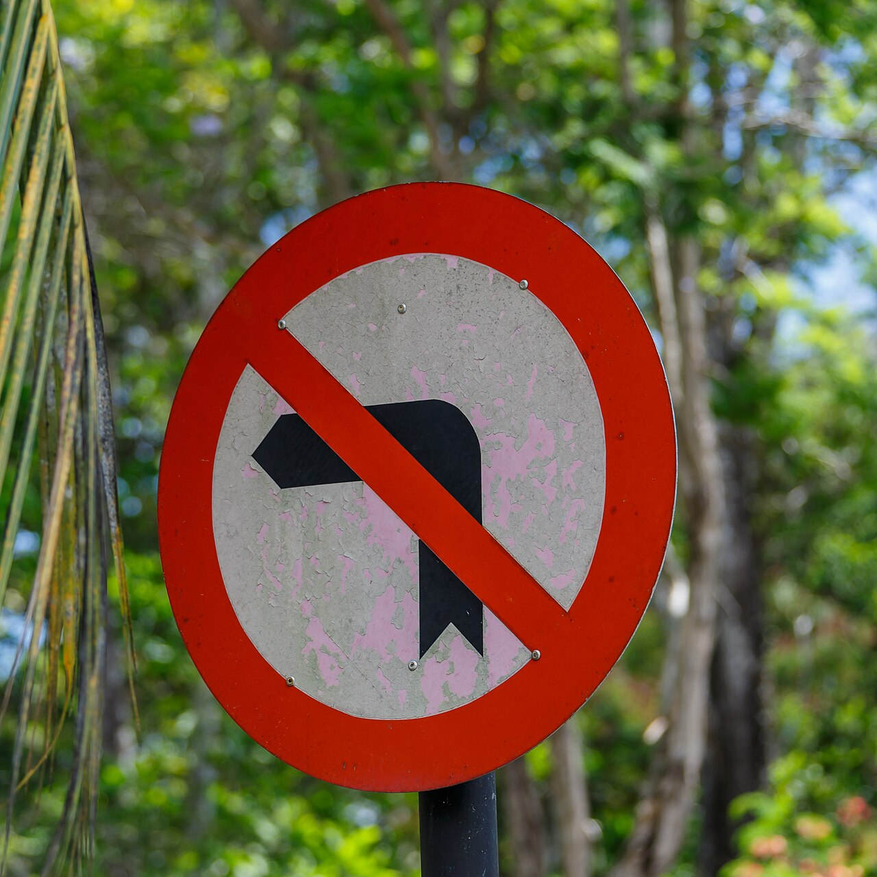 Road sign for Jayuya Puerto Rico with Taino heritage markers and mountain scenery (Wikimedia: Malaysia Traffic-signs Regulatory-sign-05.jpg, CC BY-SA 3.0)