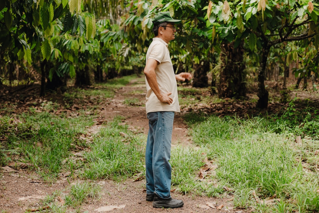 Modern Puerto Rican coffee farmer comparing different variety seedlings side by side