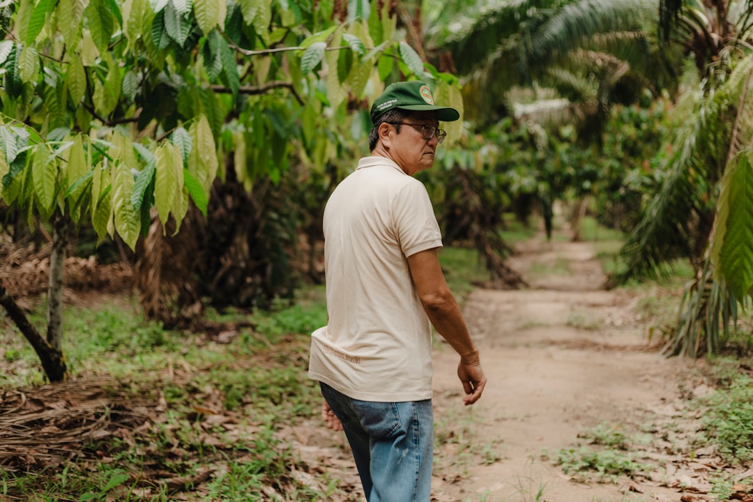 Puerto Rican coffee farmer turning over leaves to inspect undersides for roya spots