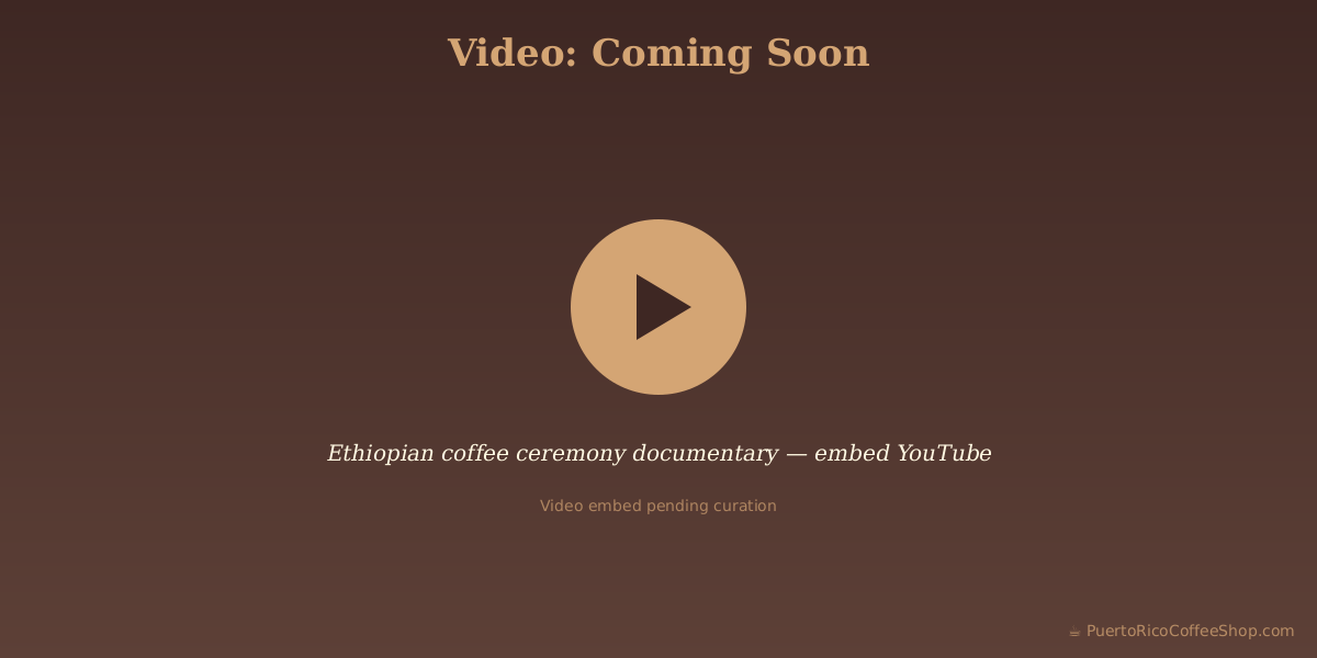 Ethiopian coffee ceremony documentary — embed YouTube