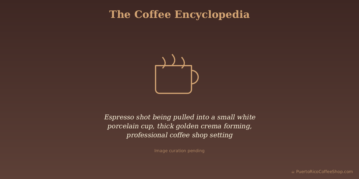 Espresso shot being pulled into a small white porcelain cup, thick golden crema forming, professional coffee shop setting