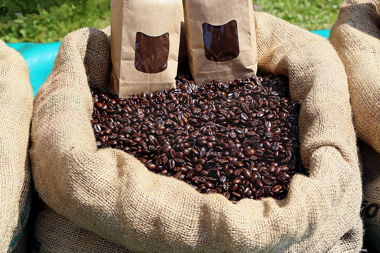 coffee bag with "Café de Puerto Rico" seal and Cordillera Central mountain logo, hands holding the bag against a green coffee farm backdrop