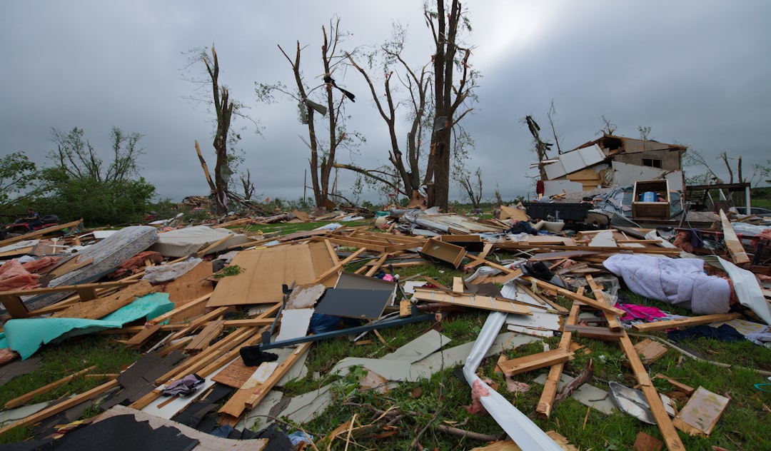 Hurricane Maria aftermath coffee farm Puerto Rico 2017 showing devastated trees and mountain landscape