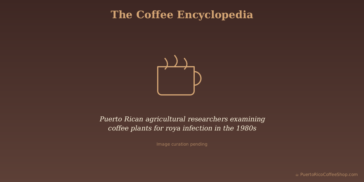 Puerto Rican agricultural researchers examining coffee plants for roya infection in the 1980s
