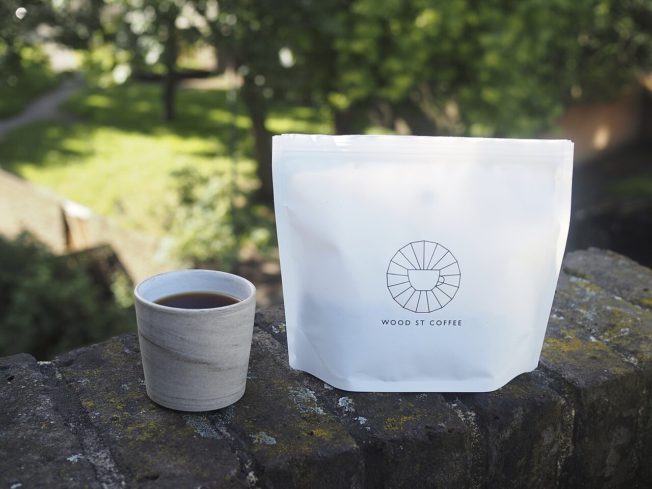 Gesha coffee cherries branch harvesting