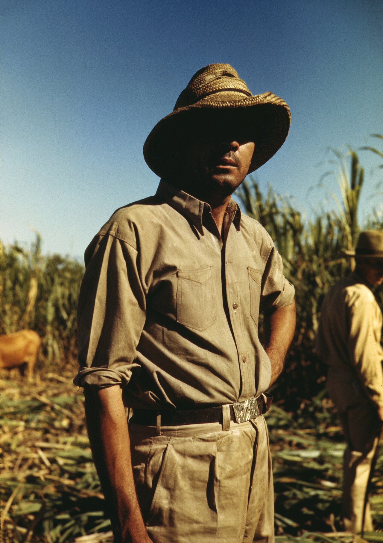 Puerto Rico jibaro mountain farmer traditional