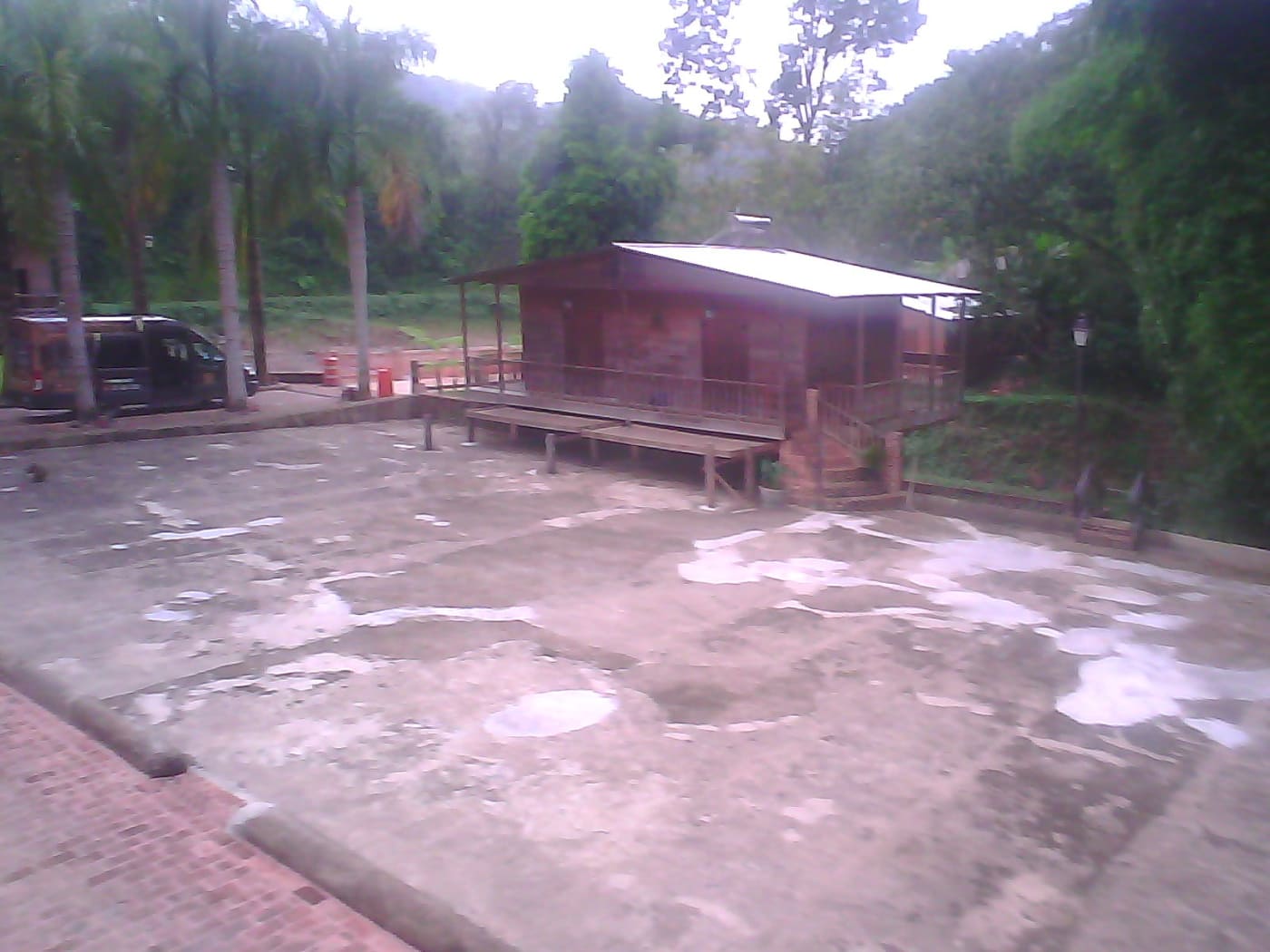 Coffee processing quality Puerto Rico traditional