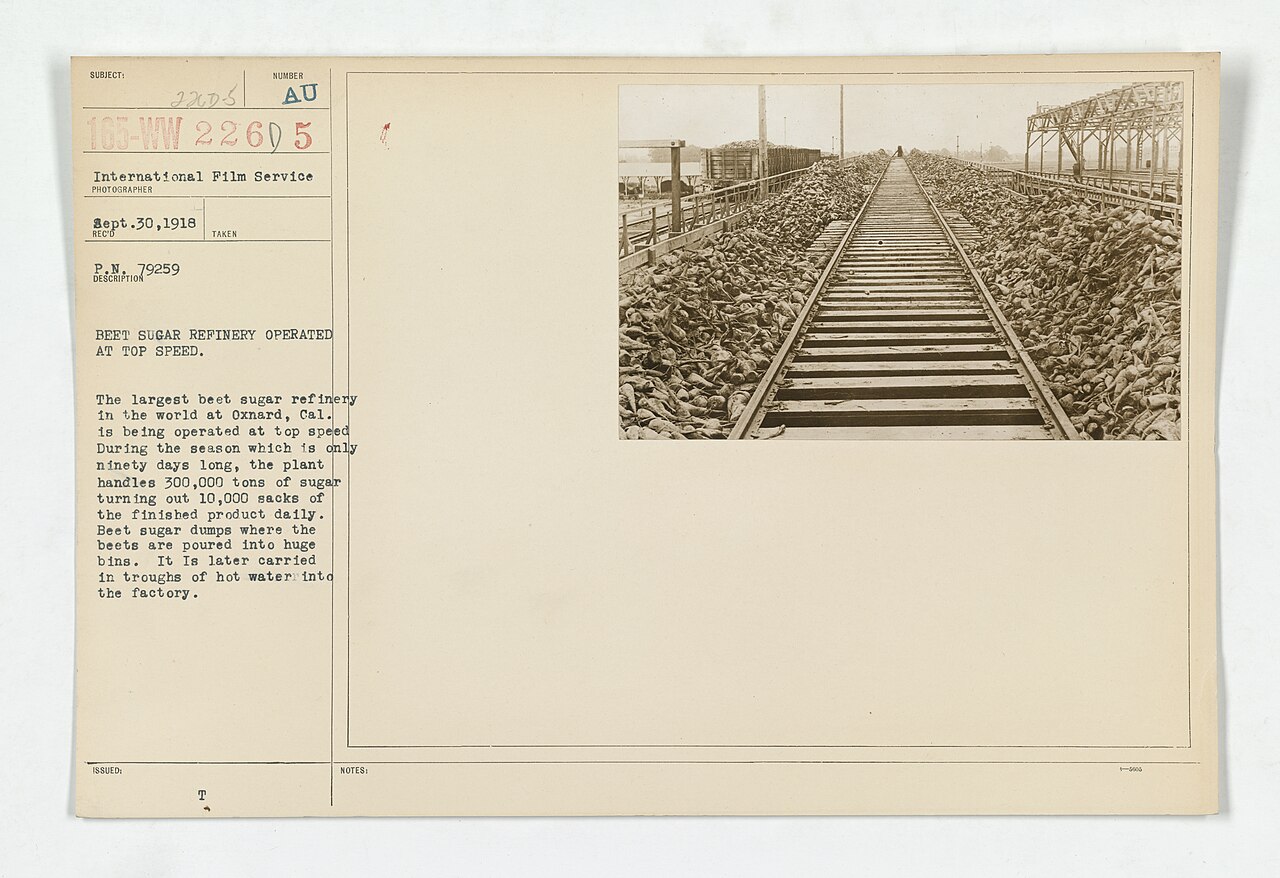Sugar being added to hot water in the preparation of traditional café criollo before pouring through colador