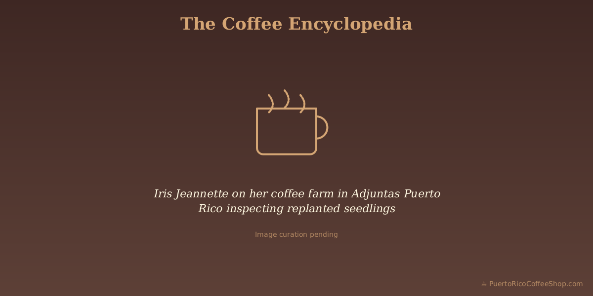 Iris Jeannette on her coffee farm in Adjuntas Puerto Rico inspecting replanted seedlings