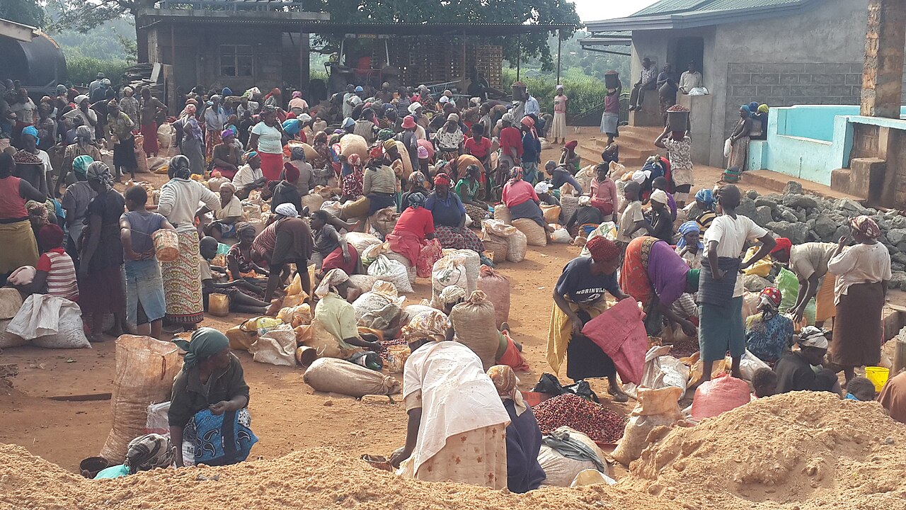 International Women's Coffee Alliance Puerto Rico chapter meeting with members