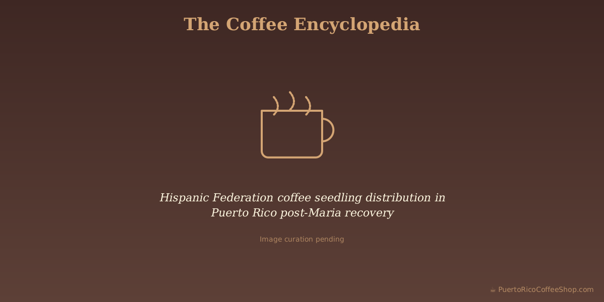 Hispanic Federation coffee seedling distribution in Puerto Rico post-Maria recovery