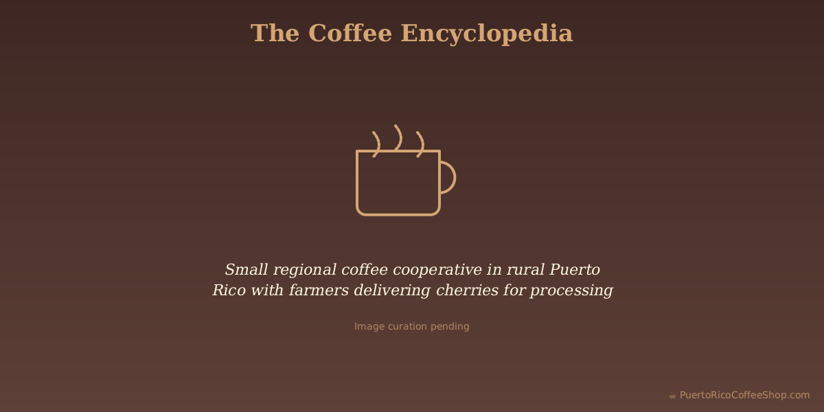 Small regional coffee cooperative in rural Puerto Rico with farmers delivering cherries for processing