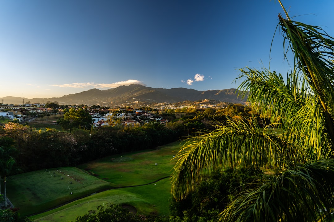 panoramic view from Hacienda San Pedro looking across coffee fields toward Cerro de Punta and the highest peaks of the Cordillera Central