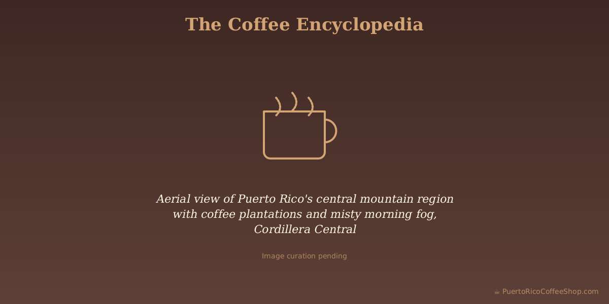 Aerial view of Puerto Rico's central mountain region with coffee plantations and misty morning fog, Cordillera Central